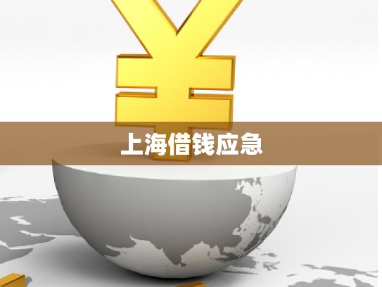 上海借錢應(yīng)急