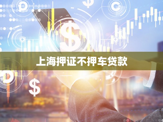 上海押證不押車貸款