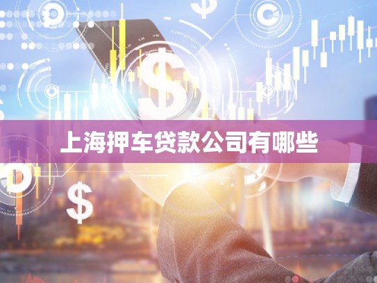上海押車(chē)貸款公司有哪些 上海押車(chē)貸款公司有哪些
