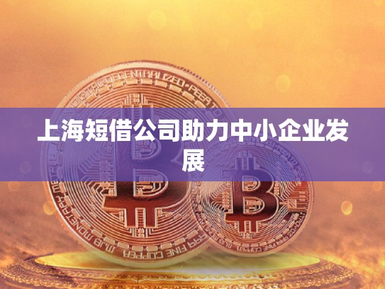 上海短借公司助力中小企業(yè)發(fā)展 上海短借公司助力中小企業(yè)發(fā)展