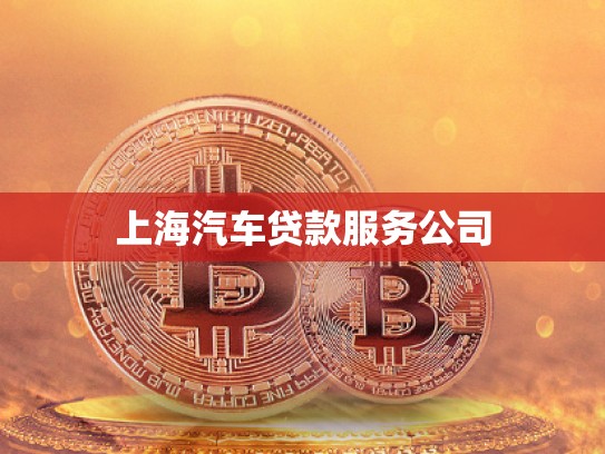 上海汽車(chē)貸款服務(wù)公司