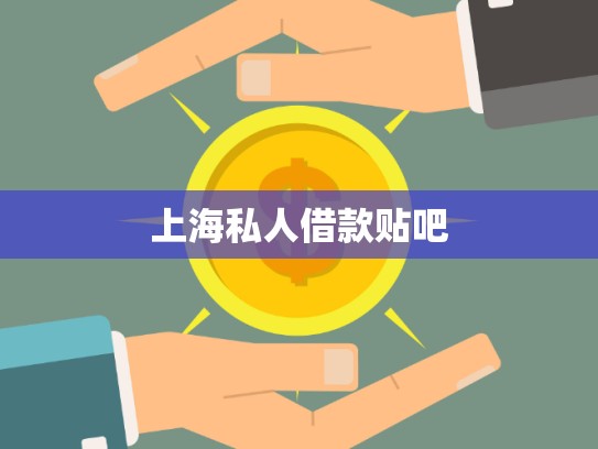 上海金山私人借款現(xiàn)狀與影響