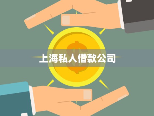 上海寶山私人借款機(jī)構(gòu) 上海寶山私人借款機(jī)構(gòu)