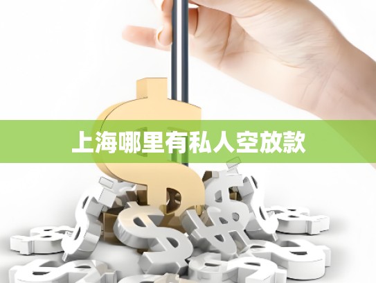 上海哪里有私人空放款