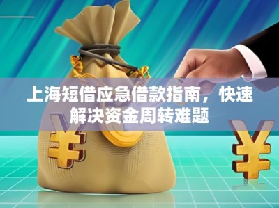 上海短借應(yīng)急借款指南，快速解決資金周轉(zhuǎn)難題